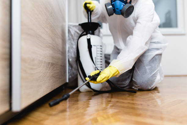 Best Ant Control Services  in Seaside, CA