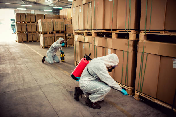 Best Termite Control Services  in Seaside, CA