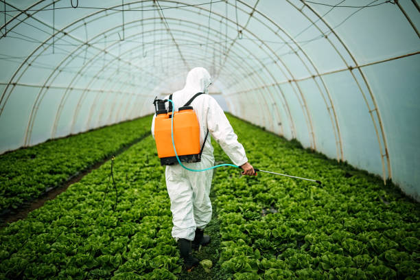 Pest Prevention Services in Seaside, CA