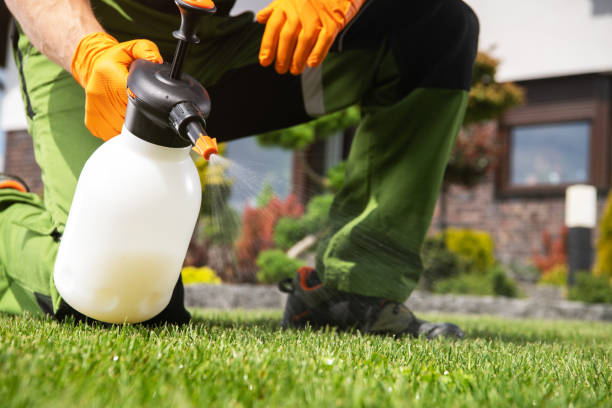Best Best Pest Control Companies  in Seaside, CA