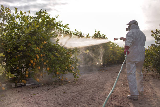 Wildlife Control Services in Seaside, CA