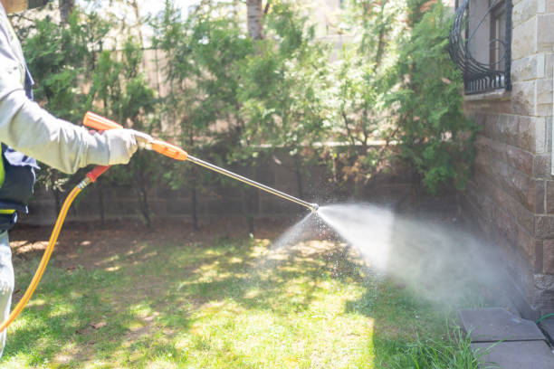 Best Affordable Pest Control Services  in Seaside, CA