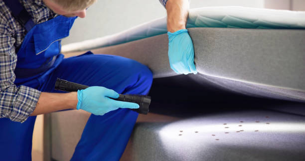 Best Rat Extermination Near Me  in Seaside, CA