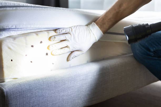 Best Pest Prevention Services  in Seaside, CA