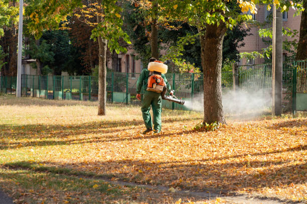 Best Commercial Pest Control Services  in Seaside, CA