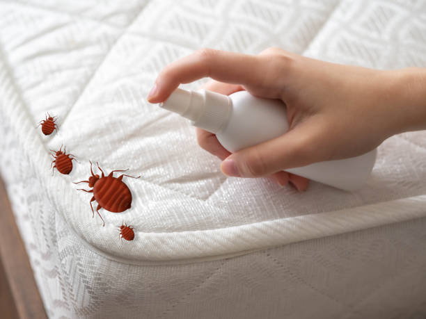 Best Insect Control  in Seaside, CA