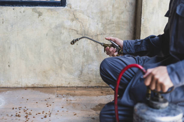 Best Pest Control Treatment  in Seaside, CA